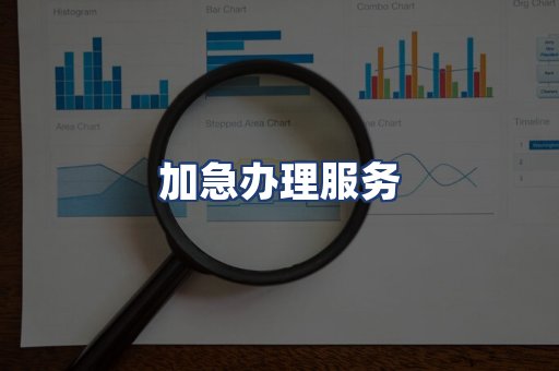 加急办理服务